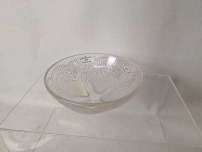 un saladier en verre transparent contenant une cuillère