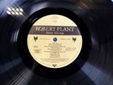 vinyl record of robert plant ' s album, ' man ' s serena '
