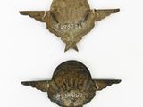 two badges with wings and a star on them on a white surface