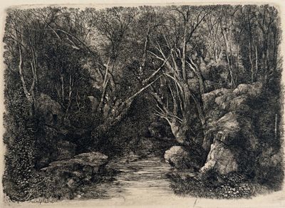drawing of a stream in a wooded area with rocks and trees