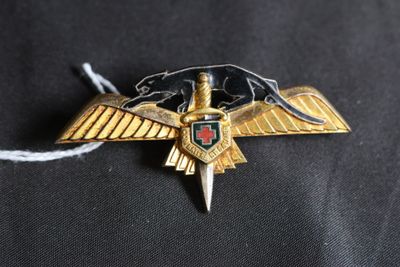 l'image d'un insigne d'aigle or et noir sur une chemise noire