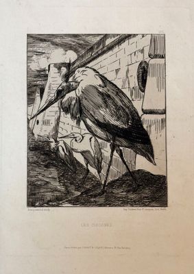un dessin en noir et blanc représentant un oiseau posé au sol