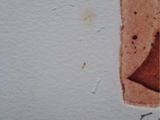 a picture of a piece of paper with a picture of a woman on it