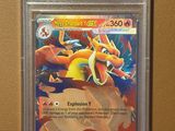La carte Pokémon est dans un étui en plastique accroché au mur.