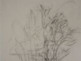 pencil drawing of a plant in a vase on a table