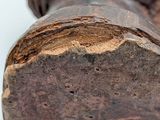 a close up of a piece of wood that has been burned
