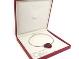 une image représentant une boîte rouge contenant un collier et un bracelet