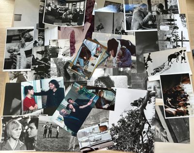 un collage de photos de personnes et d'animaux posé sur une table