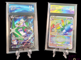 deux types différents de cartes Pokémon exposées