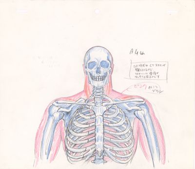 a drawing of a skeleton with a sign in the background