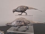 two birds that are standing on top of a table