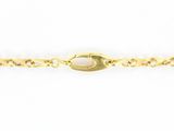 a gold chain with a clasp on a white background