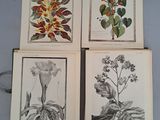 quatre cartes ornées de fleurs et de feuilles, posées sur une table