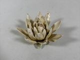 une fleur blanche posée sur une table