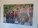 une photo représentant un groupe de personnes à vélo, accrochée au mur