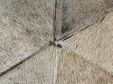 an image of a close up of a cow skin rug