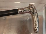 a close up of a walking stick in a glass case
