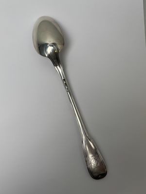 a spoon that is sitting on a table