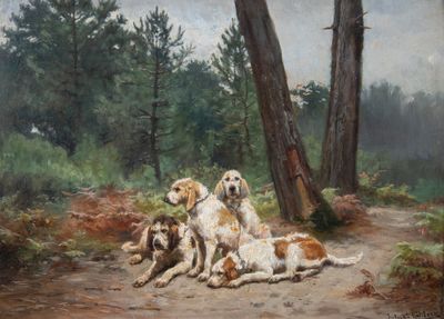 trois chiens allongés dans la poussière