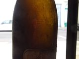 a person holding a bottle of beer in their hand