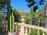 un cactus en pot sur le balcon d'une maison