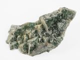 a piece of rock that is covered in moldy material