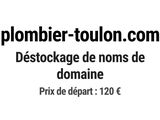 Photo 1/1 du lot