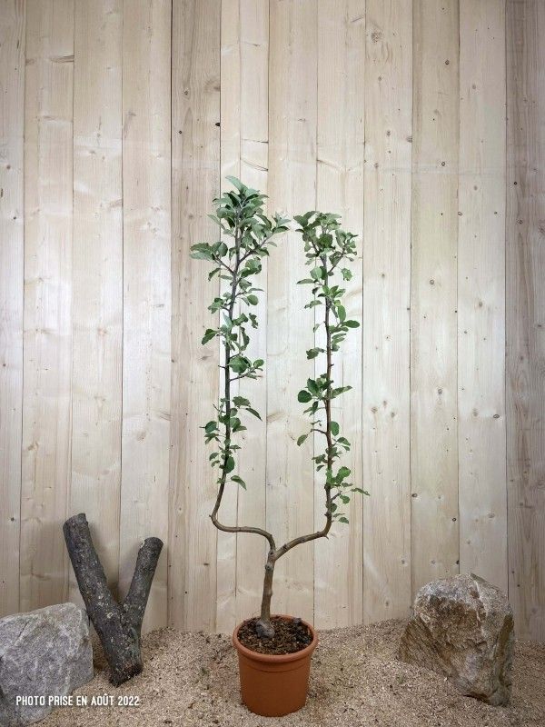 Destockage & Invendus