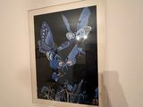 a picture hanging on the wall above a bed