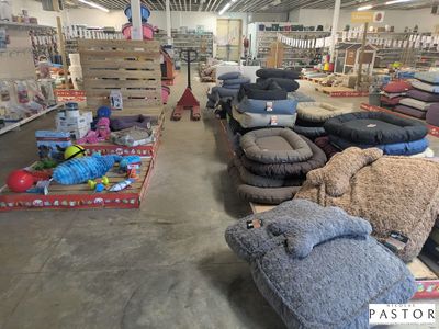 many different types of furniture in the store
