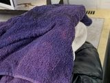 a cat that is laying on a couch under a blanket