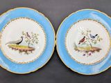 two plates with birds painted on them sitting on a table