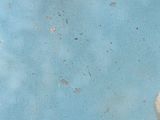 a picture of a painting of a dog on a blue background