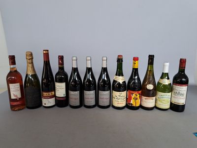 DIVERS - Ensemble de 12 bouteilles dont 3 bouteilles de Chinon, 1 bout - Photo 1