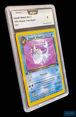 une image d'une carte Pokémon dans un étui en plastique