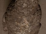 a stone statue of a man with a hat on it ' s head