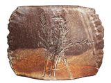 a stone with a plant on it on a white background