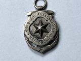 an image of a small silver medal with a star on it