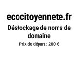 Photo 1/1 du lot