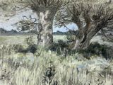 drawing of two trees in a field with grass and weeds