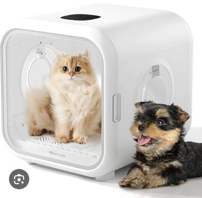 a small dog and a cat sitting in a small box