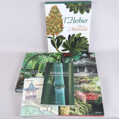 three books on a white table with a plant in the background
