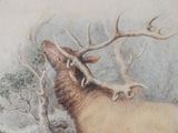 a painting of a large elk with antlers on it ' s back