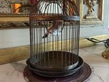 a bird in a cage sitting on a table next to a lamp
