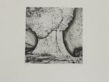 black and white photograph of a black and white picture of a large mushroom