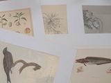 de nombreux types de dessins différents sur le papier