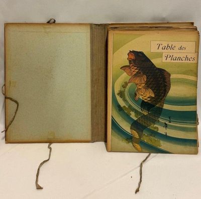 un livre sur lequel figure l'image d'un ours
