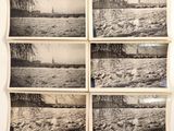 quatre photographies en noir et blanc représentant une rivière et un arbre