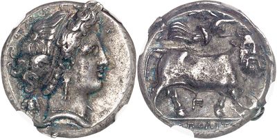 a close up of a silver coin with a horse on it