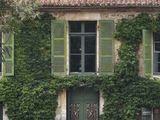 ivy covered house with green shutters and green door and windows